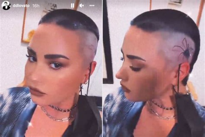 Demi Lovato debuts shaved head in shock hair transformation